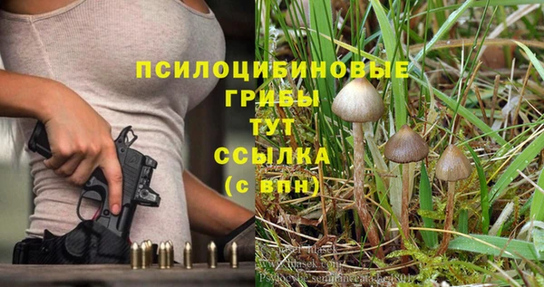 мяу мяу мука Аркадак
