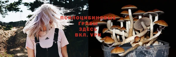 мяу мяу мука Аркадак