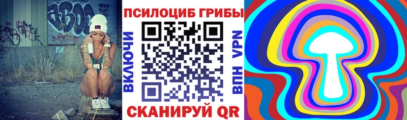 Псилоцибиновые грибы Cubensis  закладки  Строитель 